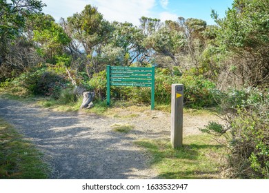 Hiking The Great Ocean Walk On Wreck Beach, Victoria In Australia