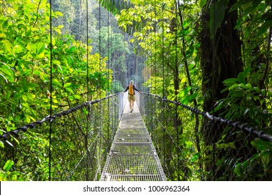 Hiking in green tropical jungle, Costa Rica, Central America - Shutterstock ID 1006962364