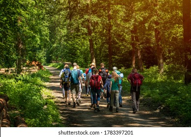 Hiking Group Hikes In Forest