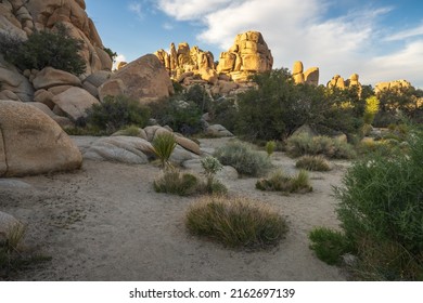 Hiking The Hidden Valley Nature Trail In Joshua Tree National Park In California, Usa