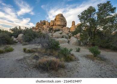 Hiking The Hidden Valley Nature Trail In Josua Tree National Park In California, Usa