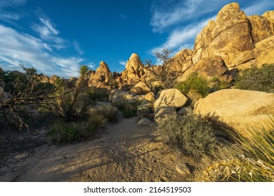 Hiking The Hidden Valley Nature Trail In Josua Tree National Park In California, Usa