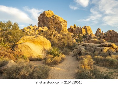 Hiking The Hidden Valley Nature Trail In Josua Tree National Park In California, Usa