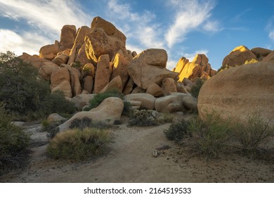 Hiking The Hidden Valley Nature Trail In Josua Tree National Park In California, Usa