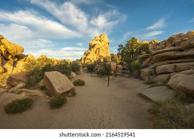 Hiking The Hidden Valley Nature Trail In Josua Tree National Park In California, Usa