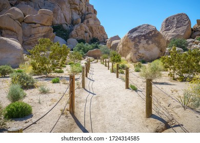 Hiking The Hidden Valley Trail In Joshua Tree National Park, California In The Usa