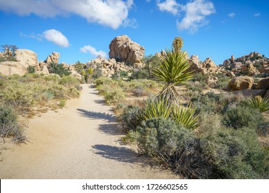 hiking the hidden valley trail in joshua tree national park, california in the usa