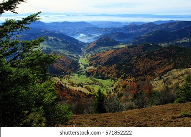 Hiking Impressions In The Black Forest In Germany