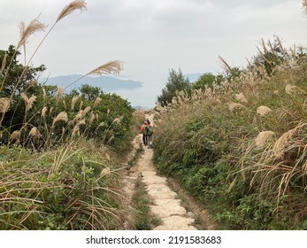 Hiking At Lantau Peak In Autumn, Lantau Island, Hong Kong