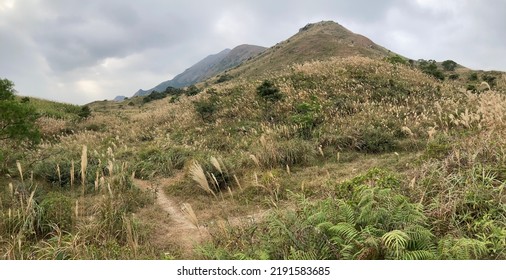 Hiking At Lantau Peak In Autumn, Lantau Island, Hong Kong