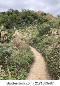 Hiking At Lantau Peak In Autumn, Lantau Island, Hong Kong