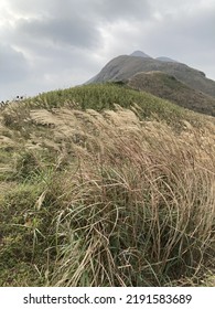 Hiking At Lantau Peak In Autumn, Lantau Island, Hong Kong