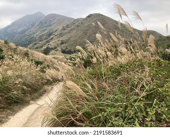 Hiking At Lantau Peak In Autumn, Lantau Island, Hong Kong