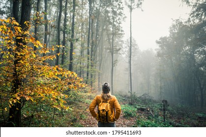 Hiking in misty morning at autumn forest. Woman tourist with knit hat and backpack standing at footpath in woodland