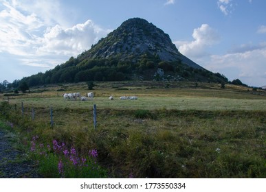 Hiking, Mont Gerbier De Jonc, Ardèche, France