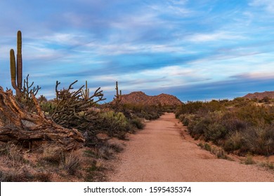 Hiking & Mountain Bike Trail At Dusk In Scottsdale AZ Desert Preserve Called Browns Ranch.