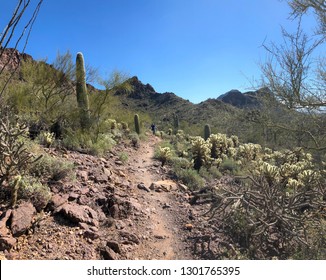 Hiking And Mountain Bike Trails At Star Pass In Tucson, Arizona.