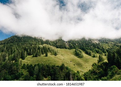 Hiking In The National Park Berchtesgaden To The Jenner Mountain In Bavaria