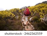 Hiking, nature trail and man back with backpack, travel and adventure on mountain path with plants. Journey, fitness and walking with camping gear and bag for exercise and explorer with holiday