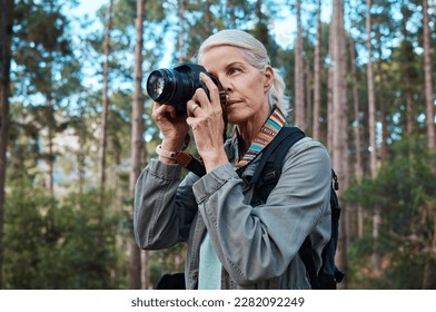 Hiking, nature and woman taking photos with a camera, capturing memories and view in a forest. Travel, tourist and an elderly lady taking pictures in a woods or the mountains for a photography hobby