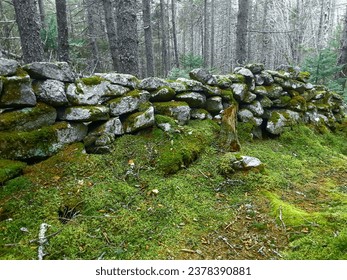 Hiking New England Trail Leads To Colonial Rock Wall - Powered by Shutterstock