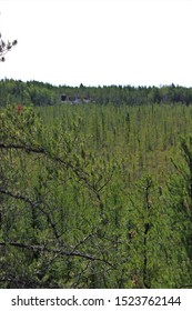 Hiking In Nopiming Provincial Park, Manitoba.