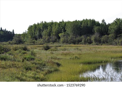 Hiking In Nopiming Provincial Park, Manitoba.