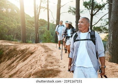 Hiking, Old And Adventure Seeking Asian Man Staying Active, Healthy And Fit In Twilight Years. Tourists Or Friends Travel Doing Recreation Exercise And Explore Nature On Wellness Getaway Or Retreat