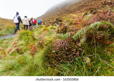 Hiking On Diamond Hill  In Connemara, West Of Ireland