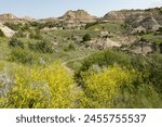 Hiking on Painted Canyon Trail in Theodore Roosevelt National Park in North Dakota