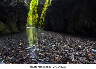 Hiking In Oneonta Gorge Trail, Oregon