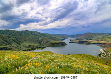 Hiking Outside Of Boise, Idaho Near Lucky Peak Reservoir