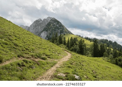 Hiking path between green grassy alpine slopes viewing towards pine trees and a beautiful rocky peak in Austria during a summer day. - Powered by Shutterstock