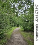 Hiking Path Between Trees in Linnanmaa, Oulu, Finland.