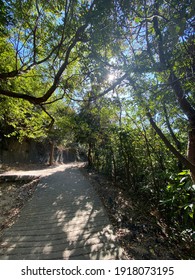 Hiking Path In Braemar Hill