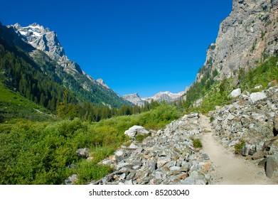 Hiking Path In Cascade Canyon