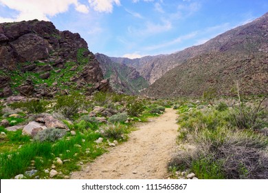 Hiking Path Into Tahquitz Canyon In Palm Springs