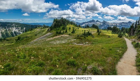 A hiking path meanders along a mountain meadow on a sunny day.