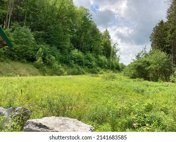 A Hiking Path Near Allegheny Reservoir