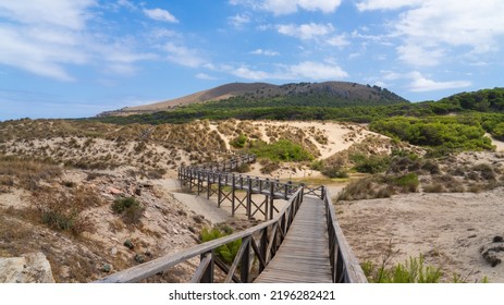 Hiking Path Over Sand Dunes In Cala Mesquida, Mallorca, Spain. Selective Focus.