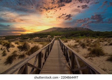 Hiking Path Over Sand Dunes In Cala Mesquida, Mallorca, Spain. Selective Focus.