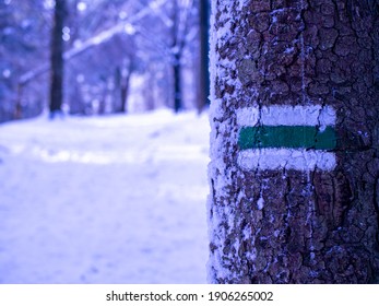 Hiking Path Sign On A Tree