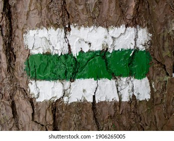 Hiking Path Sign On A Tree