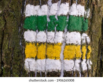 Hiking Path Sign On A Tree