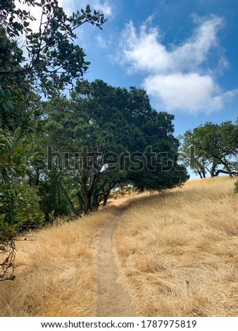 Hiking Path Through Brown Grass and Trees in Martinez, California Foothills