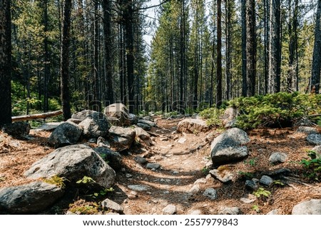 Similar – Image, Stock Photo Hiking path and epic landscape of Seceda peak in Dolomites Alps, Odle mountain range, South Tyrol, Italy, Europe