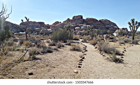 Hiking paths in the desert landscape of Joshua Tree National Park, rocks line the pathway to yucca trees and rock mountains