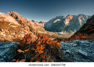 Hiking Popradske Lake To Ostrva Peak , Very Popular Hiking Destination In High Tatras National Park, Slovakia Nature