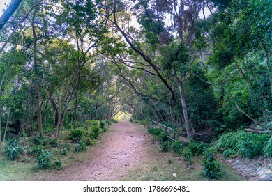  Hiking Road In Sai Kung East Country Park In Hong Kong