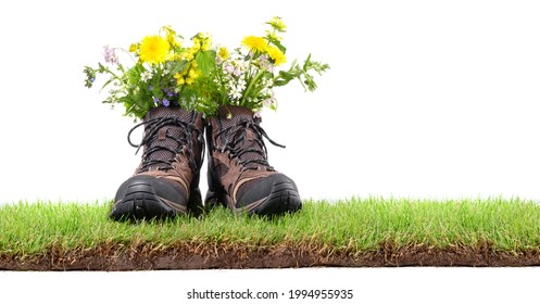 Hiking Shoes On Grass, Isolated On White Background.